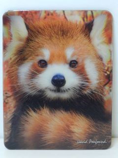 Obrázek z Magnet 3D 7x9cm - panda červená (25) 